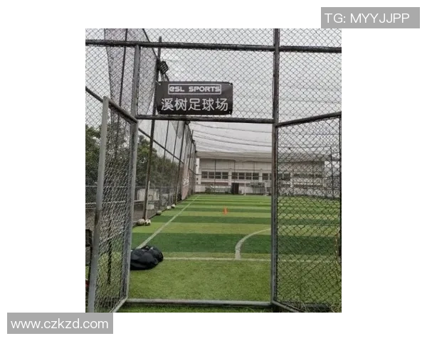 深入解析UCC球星卡足球收藏价值与市场发展前景分析